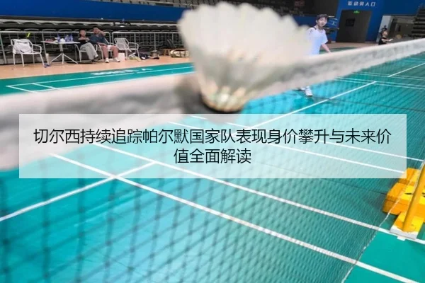 切尔西持续追踪帕尔默国家队表现身价攀升与未来价值全面解读